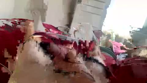 Snapshot of brad2518181 chatting on 02-21-25, 06:26 brad2518181 online show from 02-21-25, 06:26