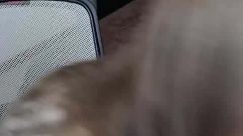 Brandy Gem online show from 02-10-26, 07:23