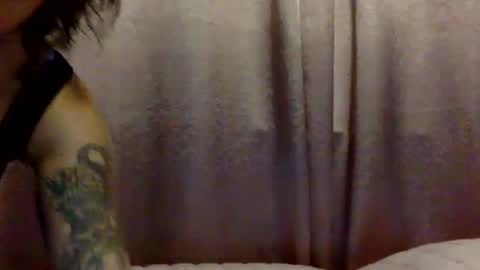 Snapshot of brasilierabrat chatting on 06-11-26, 02:33 brasilierabrat online show from 06-11-26, 02:33