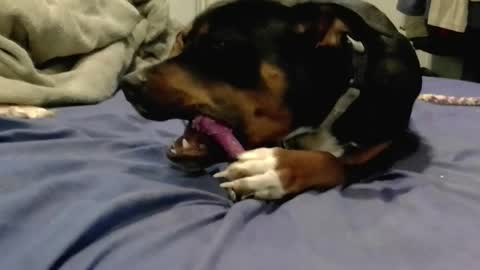 Snapshot of breeandgeebondage303864 chatting on 02-16-25, 06:32 breeandgeebondage303864 online show from 02-16-25, 06:32