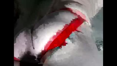 Snapshot of breezyy8 chatting on 11-19-25, 06:02 Anal-Prince online show from 11-19-25, 06:02