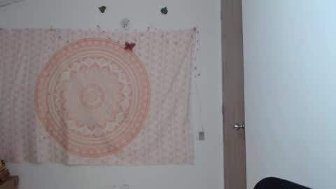 Snapshot of brisama chatting on 03-11-25, 11:59 brisama online show from 03-11-25, 11:59