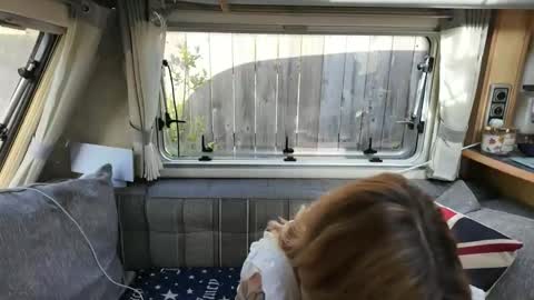  Want to see more online show from 05-25-26, 08:20