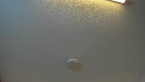 Brittany  online show from 09-27-25, 07:30