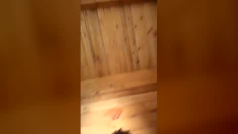 bbc online show from 01-16-26, 11:25