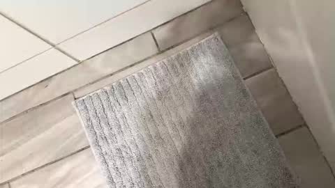 Snapshot of brownboyli chatting on 03-02-26, 03:09 brownboyli online show from 03-02-26, 03:09