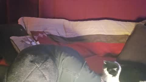 brownboyt online show from 12-19-25, 05:58