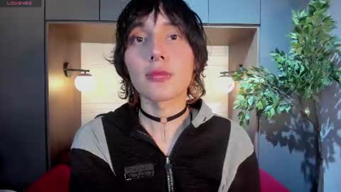 Bruno online show from 07-11-26, 07:38