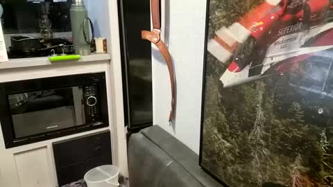 Snapshot of brushsquach chatting on 02-21-25, 10:07 Steve... aka SkinnieDippin aka TimberTramp online show from 02-21-25, 10:07