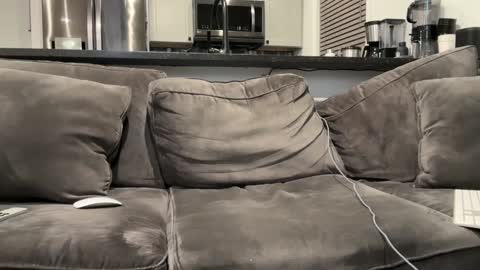 Snapshot of brwm2013 chatting on 01-12-25, 03:07 brwm2013 online show from 01-12-25, 03:07