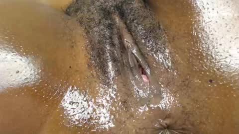 Snapshot of brynzoe chatting on 07-13-26, 08:00 Brownie online show from 07-13-26, 08:00