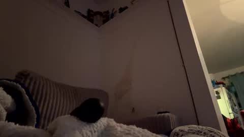 Snapshot of bubblya chatting on 02-20-26, 06:19 bubblya online show from 02-20-26, 06:19