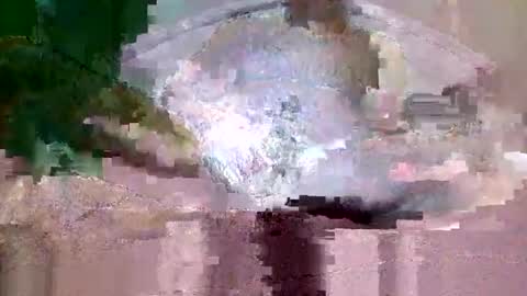 Snapshot of buffsurgeon1 chatting on 09-08-25, 05:34 buffsurgeon1 online show from 09-08-25, 05:34