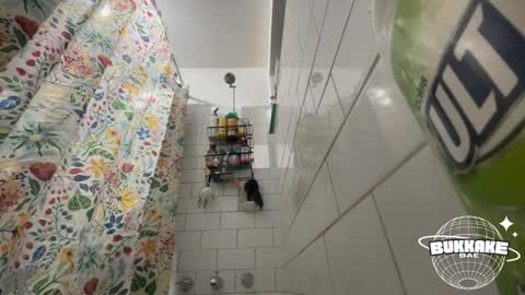 bukkakebae online show from 09-11-25, 08:20