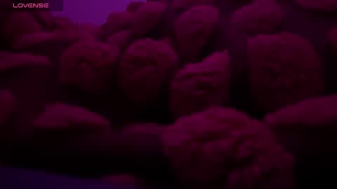 bukkakebae online show from 11-15-25, 12:30