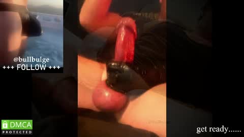Bull. online show from 05-19-26, 03:02