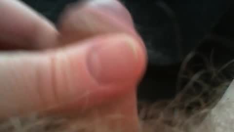 bullemoe online show from 02-02-26, 09:52