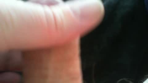 bullemoe online show from 04-07-26, 11:54