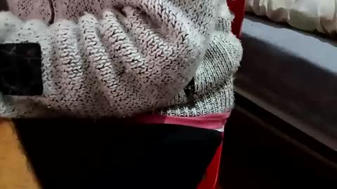 bullspain27266272 online show from 02-05-25, 10:22