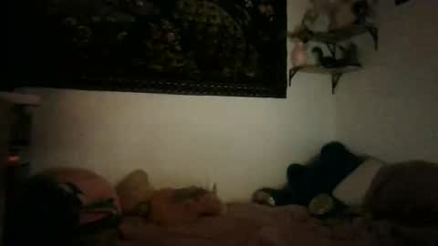 bunn13cat online show from 03-17-26, 12:52