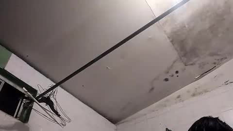 bunnychocolatte69 online show from 11-30-25, 05:00