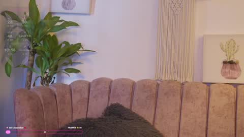Snapshot of bunnycute_shy chatting on 02-04-25, 04:08 30 Off online show from 02-04-25, 04:08