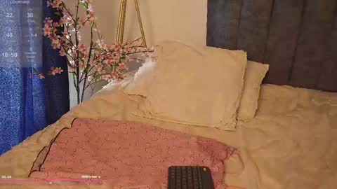 Snapshot of bunnycute_shy chatting on 10-04-25, 02:37 30 Off online show from 10-04-25, 02:37