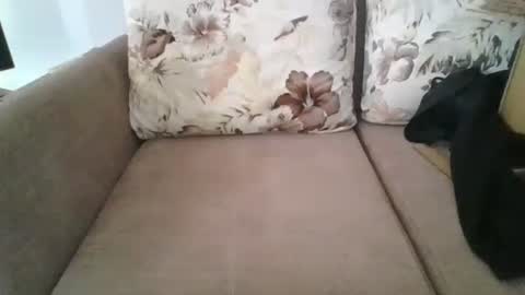 burak20x online show from 10-30-25, 07:10