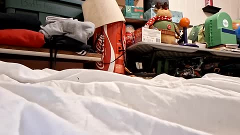 bushdoctor1 online show from 09-23-25, 07:22