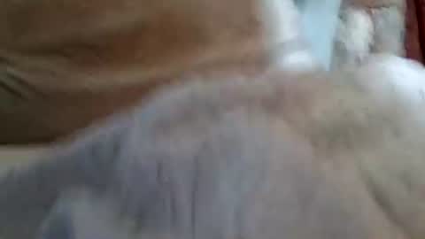 Buster18Hymen online show from 02-01-26, 10:08