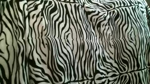 bustinfree online show from 12-22-25, 03:53