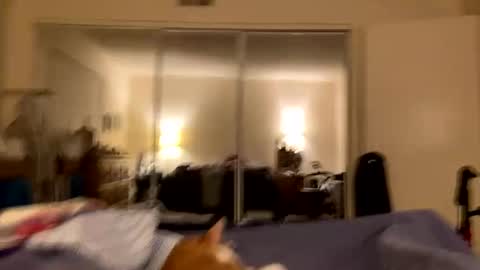 busty_2008 online show from 02-24-26, 03:04