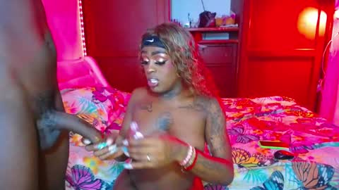 butterfly_rouse online show from 01-09-26, 11:06