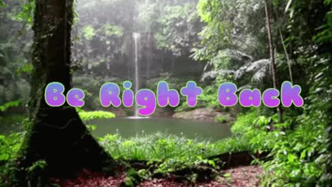 Butterfly and Bear online show from 12-08-24, 09:19