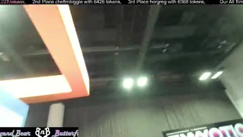 Butterfly and Bear online show from 06-27-26, 06:57