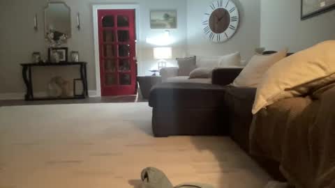 Snapshot of bwc2465 chatting on 02-15-25, 04:03 bwc2465 online show from 02-15-25, 04:03