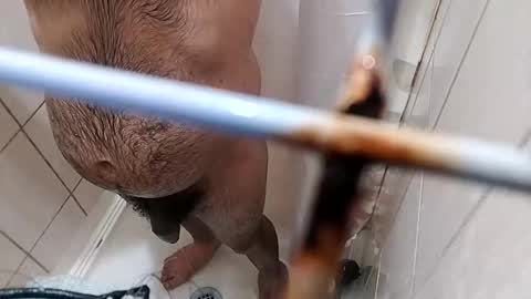 Snapshot of bxpapi69 chatting on 11-10-25, 04:22 bxpapi69 online show from 11-10-25, 04:22