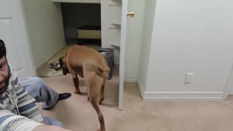 c2cmee online show from 12-26-24, 09:55