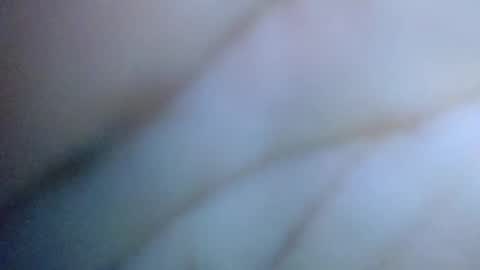 Snapshot of cactus_1041 chatting on 06-15-26, 07:43 Cactus1041 online show from 06-15-26, 07:43