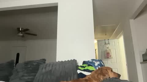 CaliCreamDaddy online show from 05-25-26, 02:28