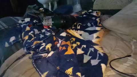 Snapshot of calisguitar chatting on 12-29-24, 09:30 Calisguitar online show from 12-29-24, 09:30