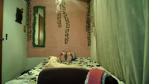 paula online show from 02-06-26, 11:52