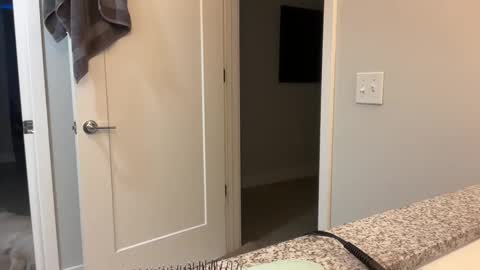 Snapshot of camiliakxoxo chatting on 12-08-24, 10:41 camiliakxoxo online show from 12-08-24, 10:41