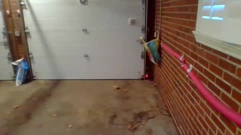 cammyman6900 online show from 12-09-24, 01:34