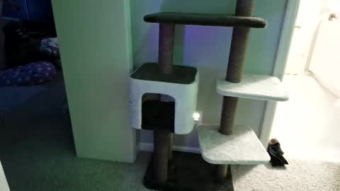 cammyman6900 online show from 05-12-26, 04:31