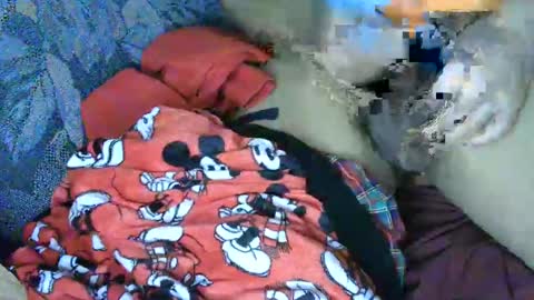 7777 online show from 03-04-25, 06:15