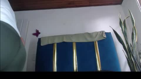 tatiana online show from 05-19-26, 12:33