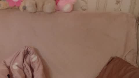 Snapshot of candylady136 chatting on 06-03-26, 08:39 say meow and send tip online show from 06-03-26, 08:39