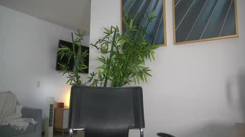 Jency NEW IG IMCANELA   online show from 09-10-25, 07:36