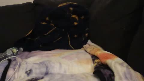     online show from 09-14-25, 02:22